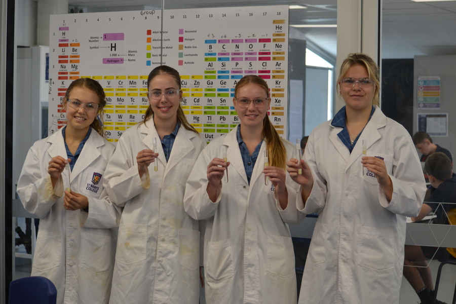 BIOLOGY > Experimenting with potatoes, starch and osmosis!