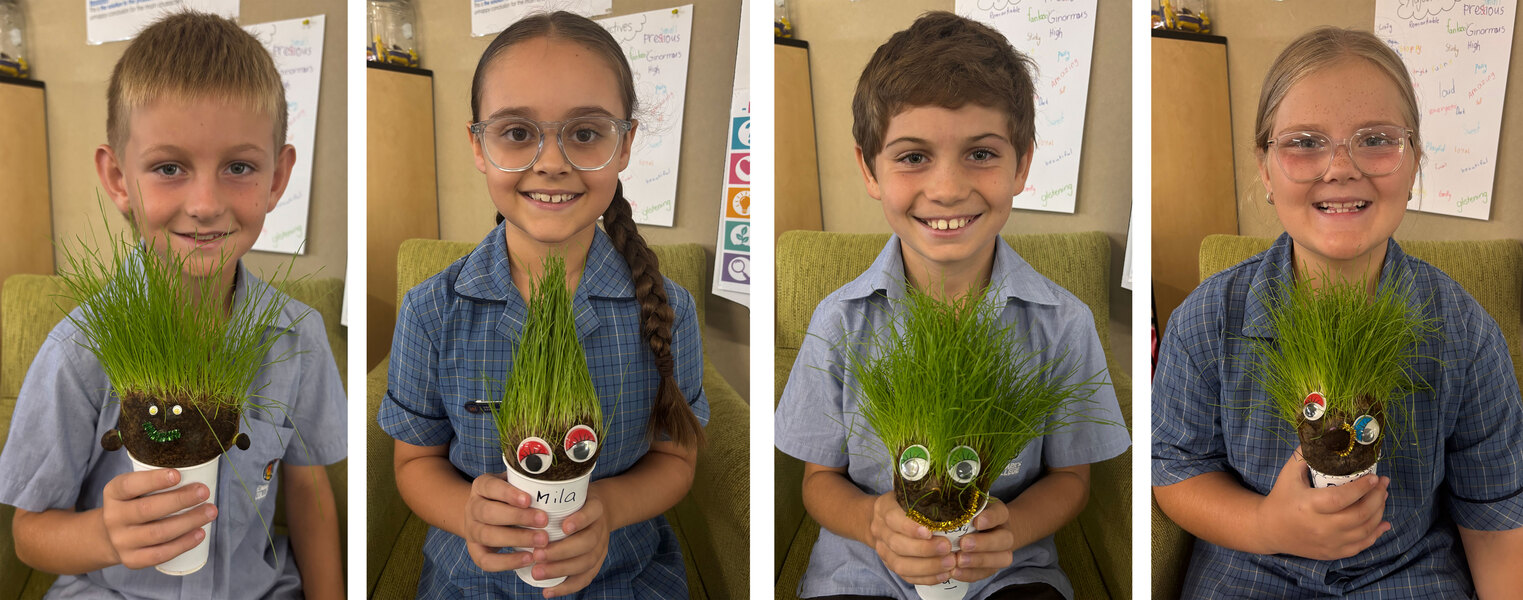 SCIENCE > Year 3s are learning about ecosystems in Science and have grown our own "producers" (Hairy Heads).