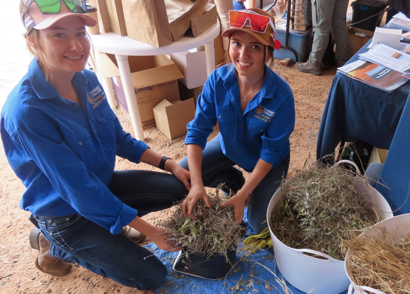 AGRICULTURE > Our Agriculture students attended the Arid Lands Pastoral Field Day.
