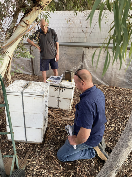 AGRICULTURE > Transporting 3 new hives to McNally Farm.