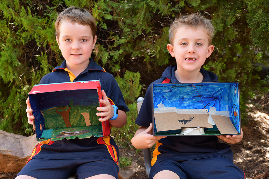SCIENCE > Year 1 students made diorama's showing an animal in their habitat.