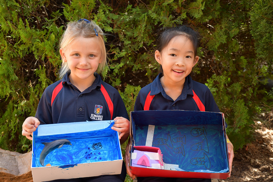 SCIENCE > Year 1 students made diorama's showing an animal in their habitat.