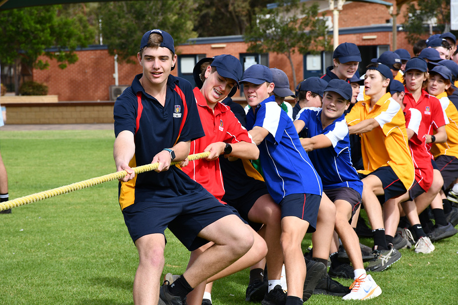 WRAP > House VS House in the tug-of-war challenge!