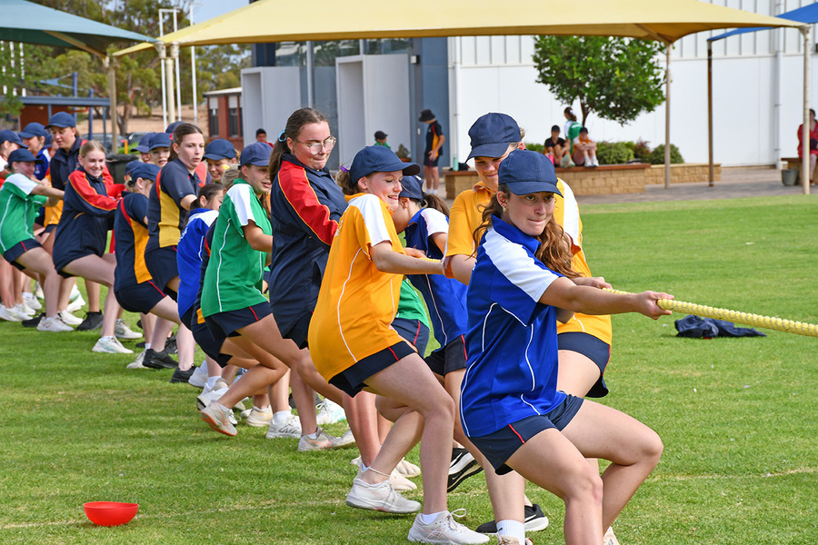 WRAP > House VS House in the tug-of-war challenge!