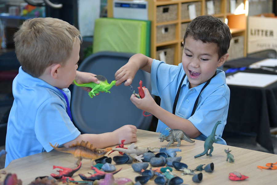 TERM 2 > Students are back into the flow of Term 2, including our Little Lions!