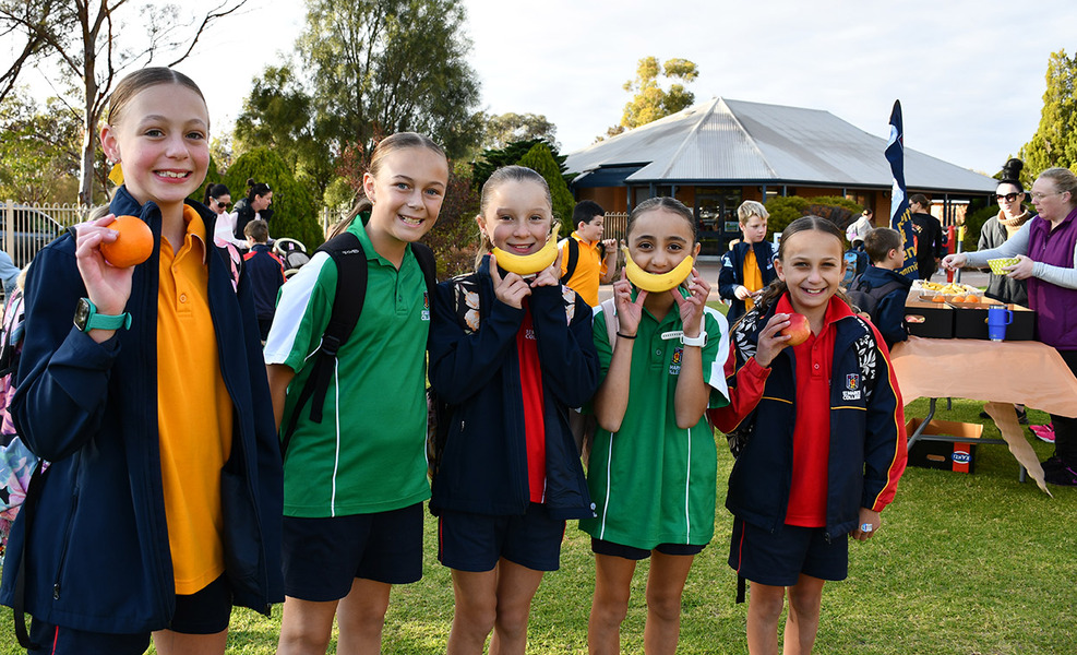 P+F > Well done to our students who participated in Walk Safely to School Day! Thank you to our P+F Community for rewarding students with fruit and stickers!