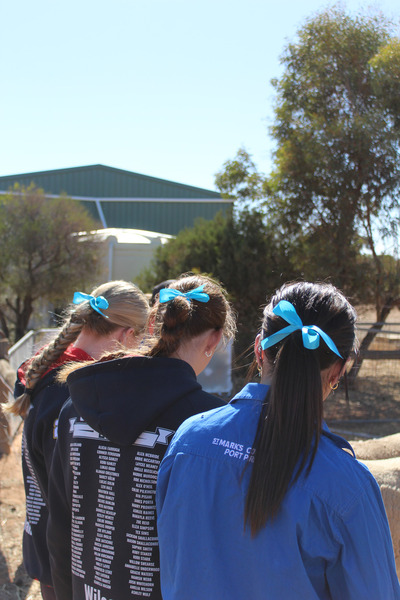 PHOTOGRAPHY > Photography student Chloe took photos of 'Do it for Dolly' Day.