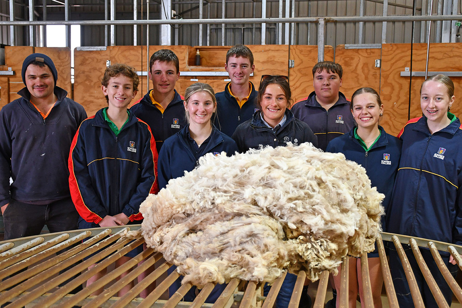 WOOL > Year 10 Agriculture students participated in a wool classing workshop with SHannon from Australian Wool Innovation and local farmer Nathan Crouch.