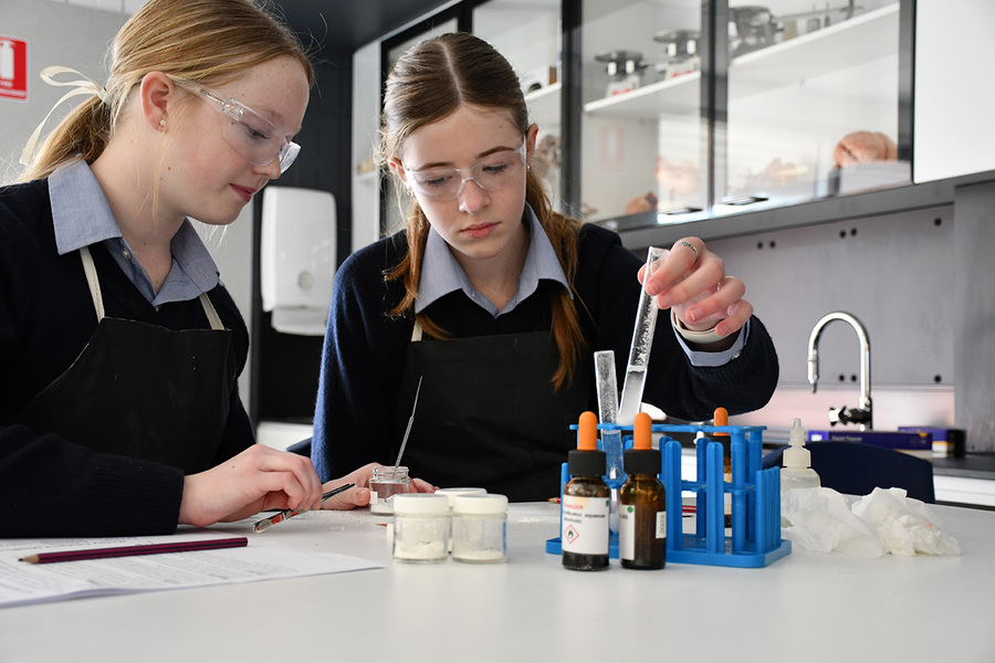 SCIENCE > Year 8 students have been learning about elements and chemical changes in Science. Through a 'Mystery Lab' practical, students investigated the differences between physical and chemical changes.