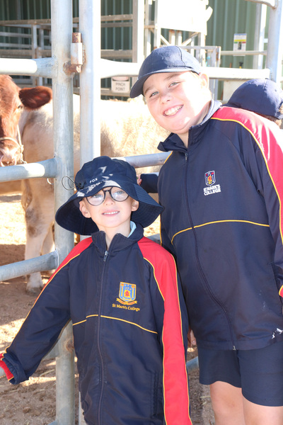 LITTLE LIONS > Our Little Lions and their Year 5 Buddies enjoyed visiting McNally Farm recently.