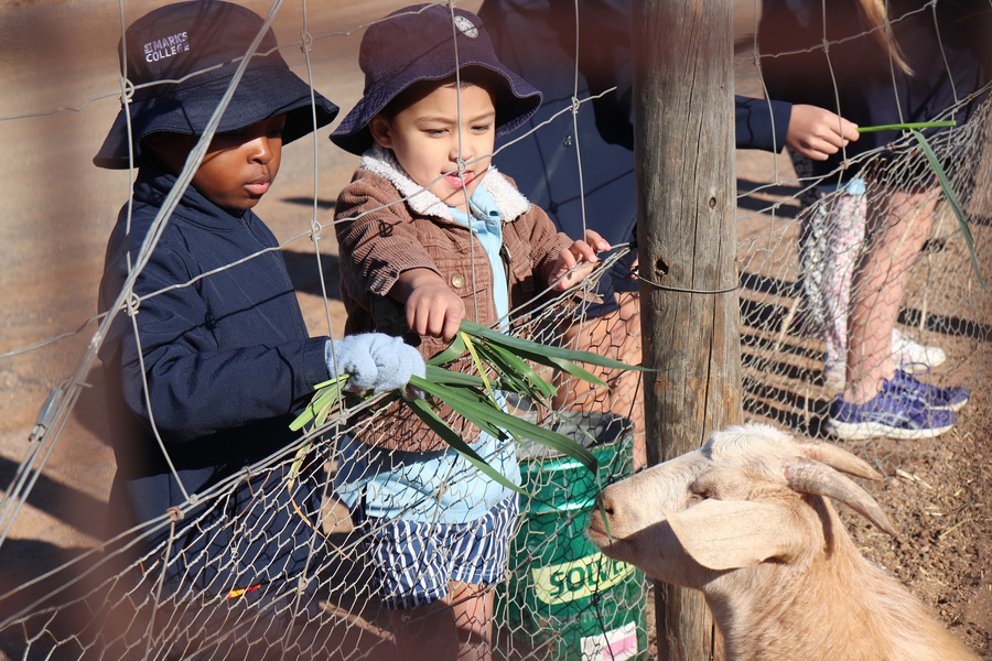 LITTLE LIONS > Our Little Lions and their Year 5 Buddies enjoyed visiting McNally Farm recently.