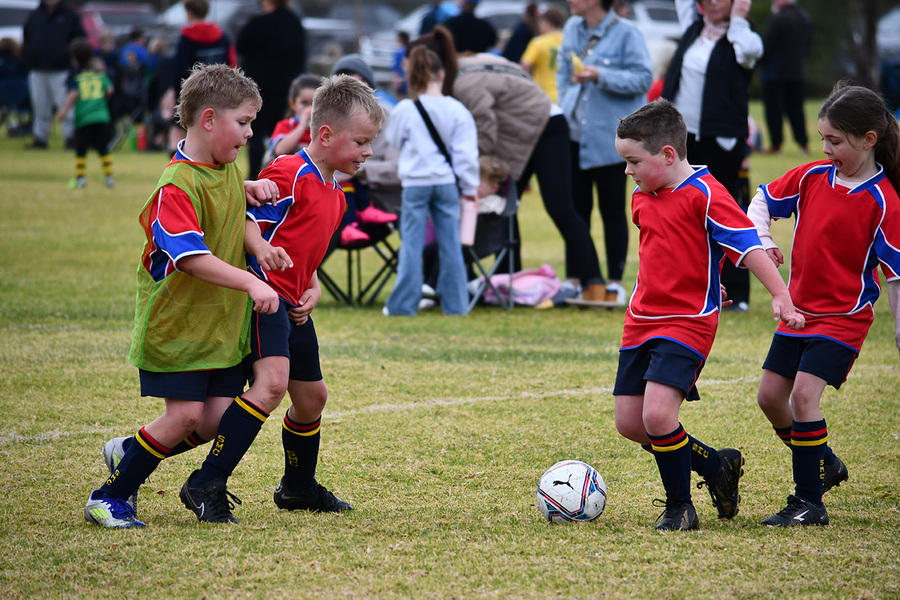 SPORT > College winter sport is in full swing.
