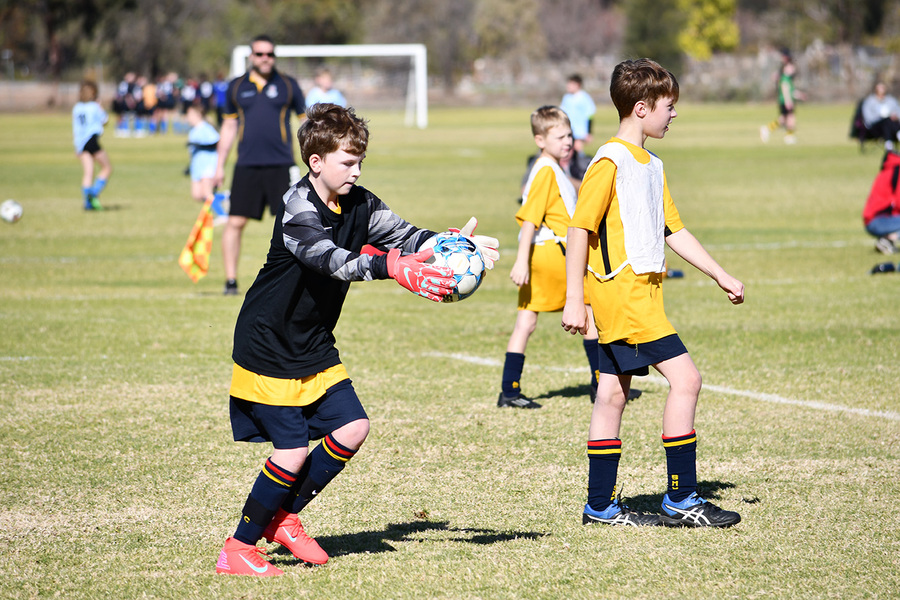 SPORT > College winter sport is in full swing.