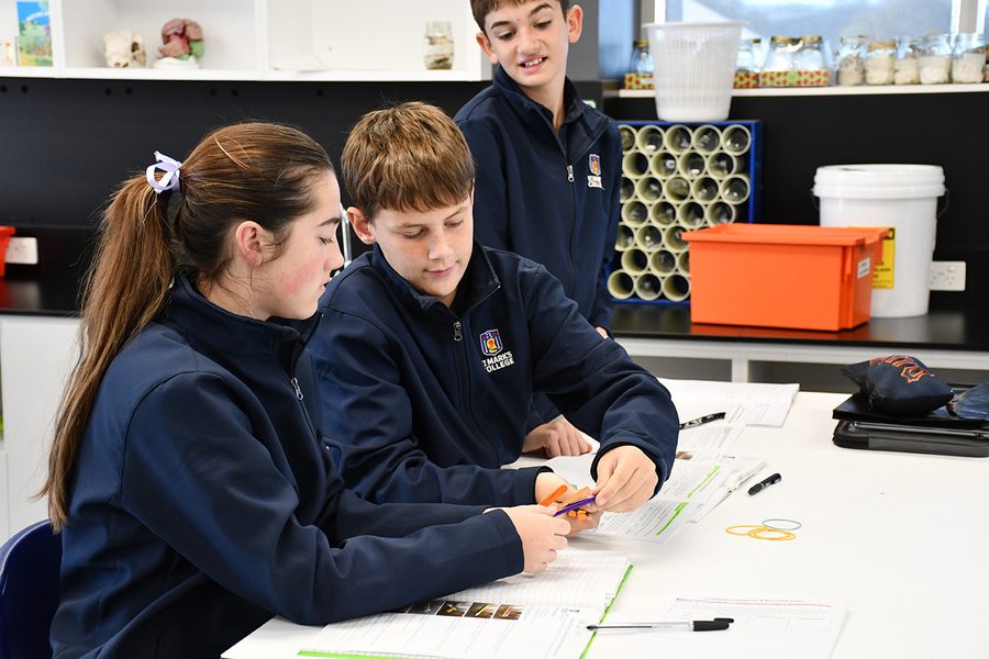 SCIENCE > Year 8 students made their own catapault, using it to launch an eraser in an effort to record energy.
